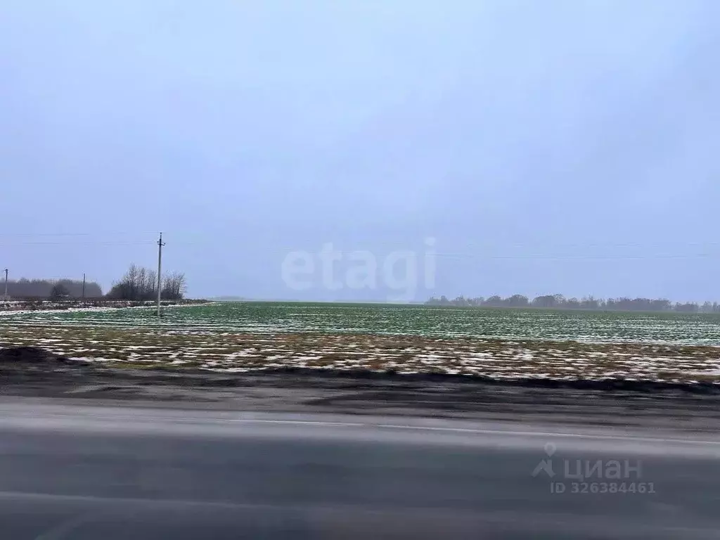 Участок в Ярославская область, Тутаевский муниципальный округ, ... - Фото 1