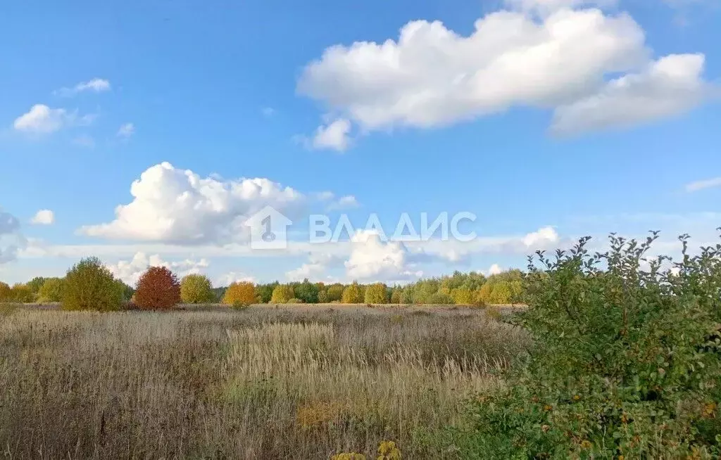 Участок в Владимирская область, Суздальский район, Селецкое ... - Фото 0