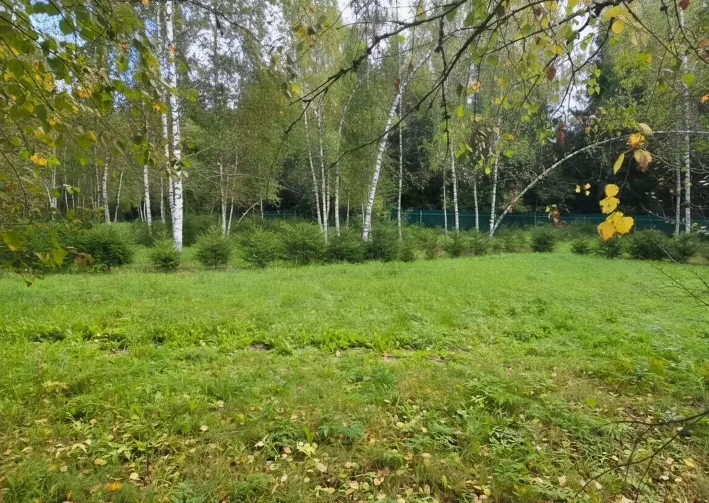 Участок в Московская область, Клин городской округ, д. Климовка, 1-й ... - Фото 2