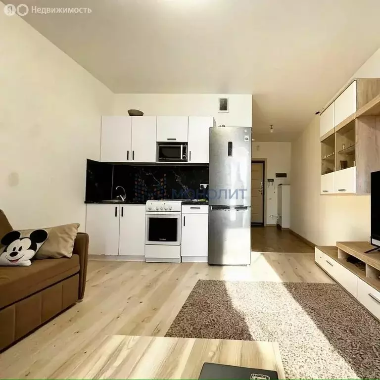 Квартира-студия: деревня Анкудиновка, Русская улица, 17 (24.9 м) - Фото 1