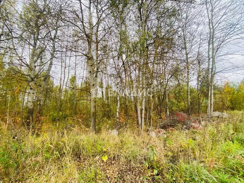 Участок в Владимирская область, Собинский муниципальный округ, д. ... - Фото 1