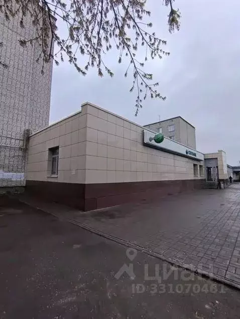 Офис в Курганская область, Шадринск ул. Ефремова, 8 (190 м) - Фото 2