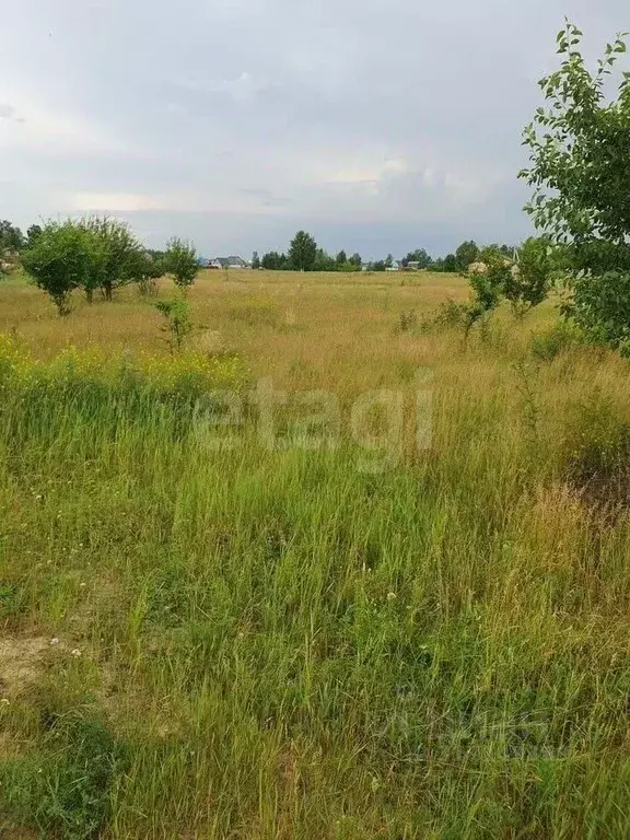 Участок в Новосибирская область, Новосибирский район, Толмачевский ... - Фото 0