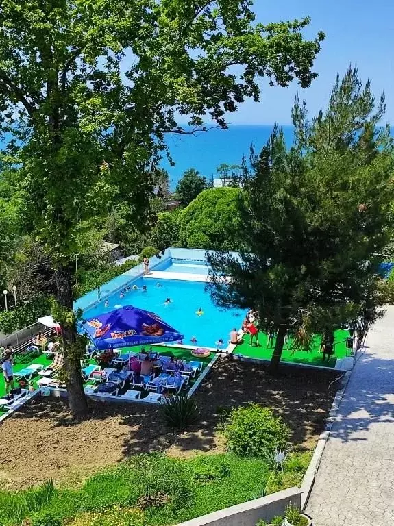 Комната Краснодарский край, Сочи Лучезарная ул., 3/1 (10.0 м) - Фото 0