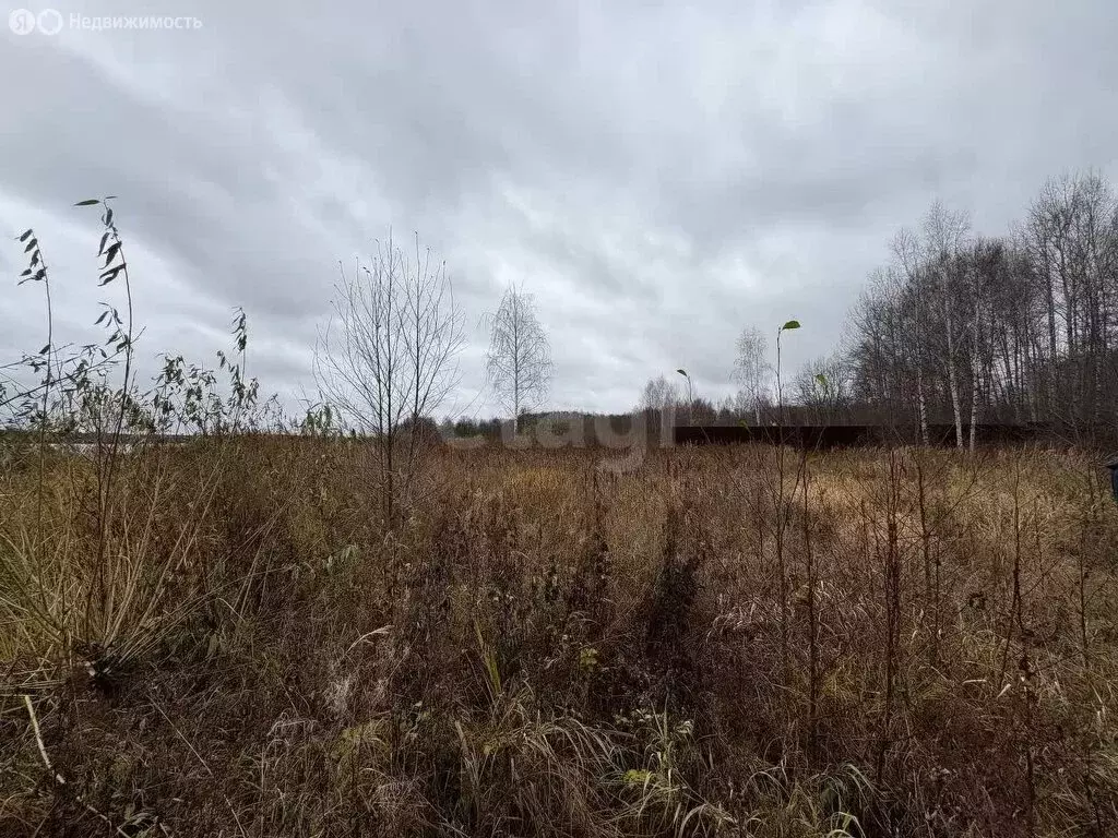 Участок в Тверская область, Кимрский муниципальный округ, деревня ... - Фото 2