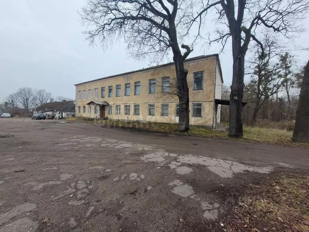 Помещение свободного назначения в Калининградская область, Правдинск ... - Фото 2