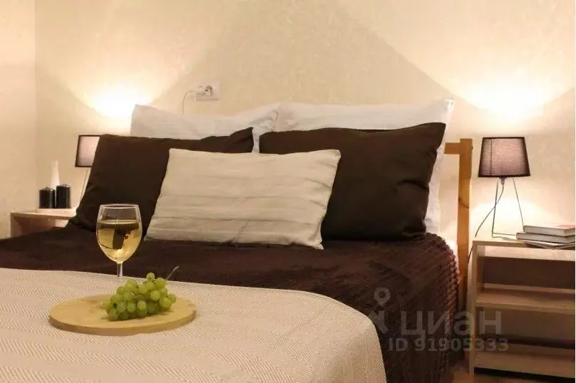 1-к кв. Санкт-Петербург, Санкт-Петербург, Сестрорецк ул. Володарского, ... - Фото 2