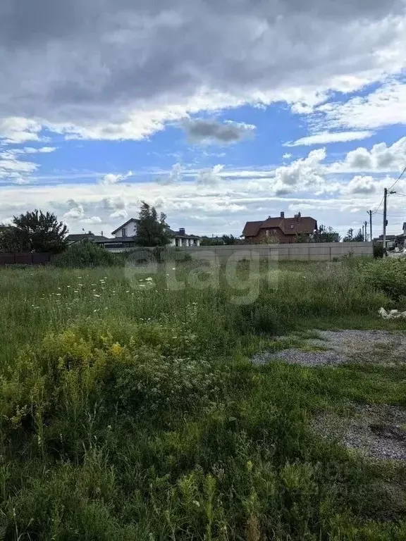 Участок в Воронежская область, Новоусманский район, Отрадненское ... - Фото 2