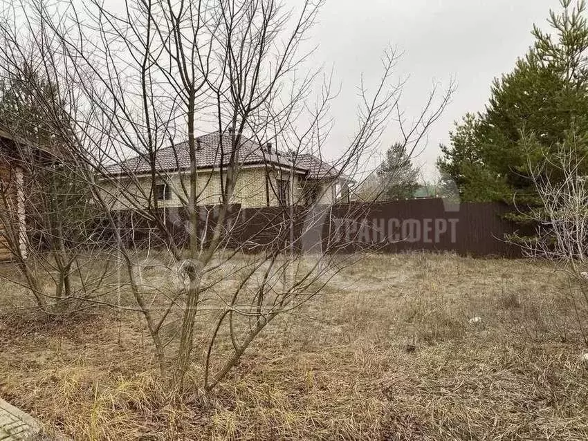 Дом в Липецкая область, Усманский муниципальный округ, с. Савицкое ... - Фото 2