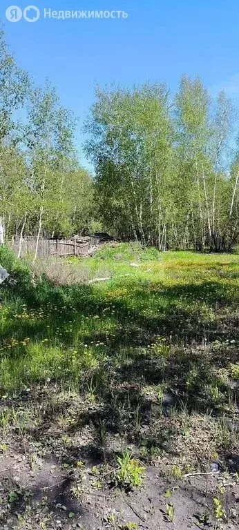 Участок в Курганская область, Кетовский муниципальный округ, СТСН ... - Фото 2