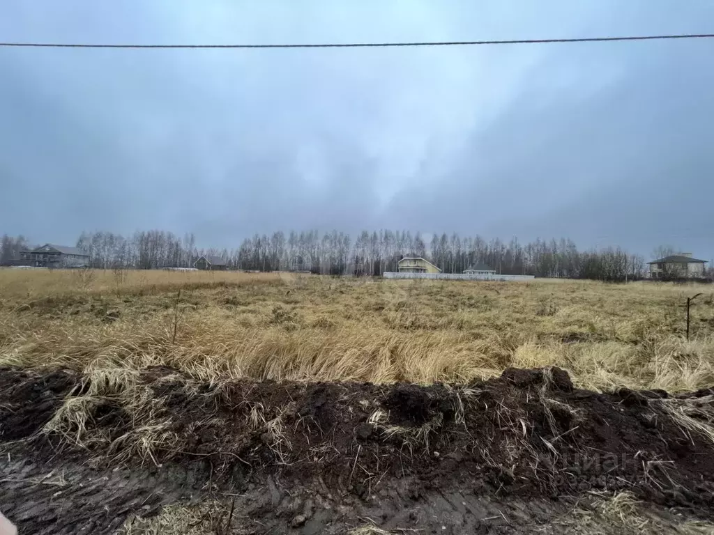 Участок в Чувашия, Моргаушский муниципальный округ, д. Яраккасы  (12.0 ... - Фото 2