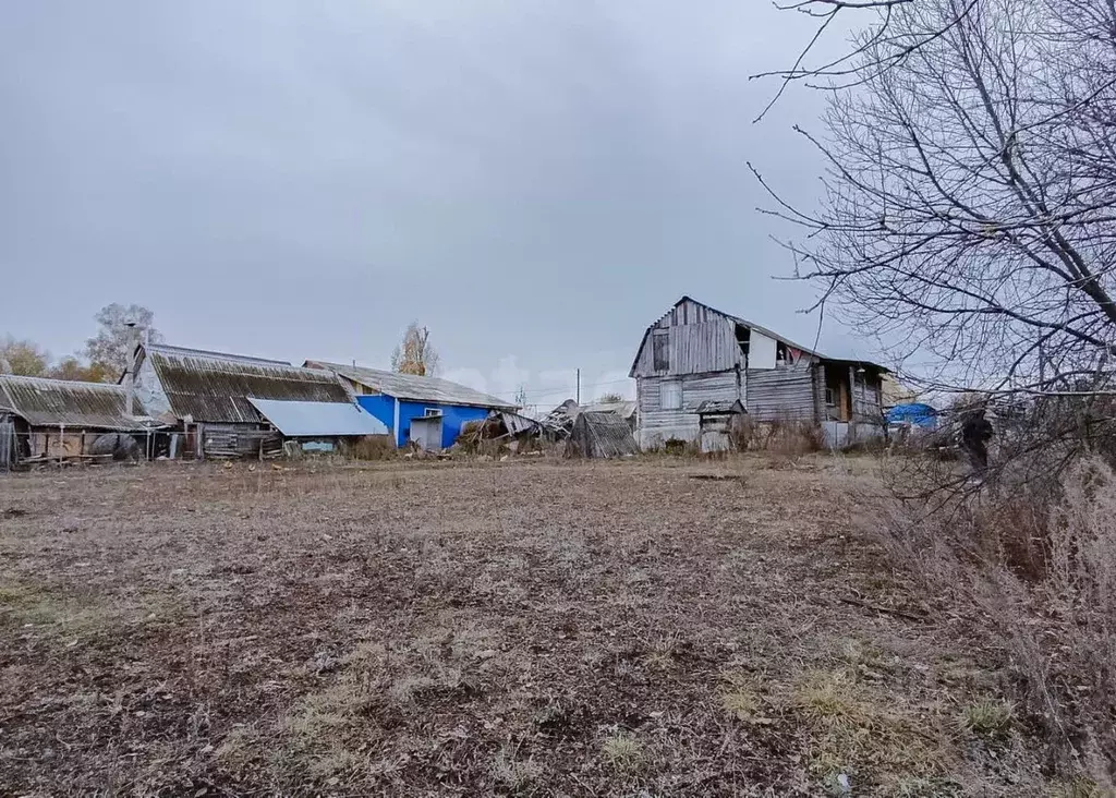 Дом в Мордовия, Лямбирский район, с. Черемишево Долгая ул., 2 (60 м) - Фото 0