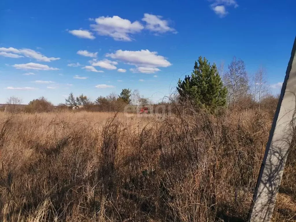 Участок в Амурская область, Благовещенск Березка СНТ,  (9.0 сот.) - Фото 1