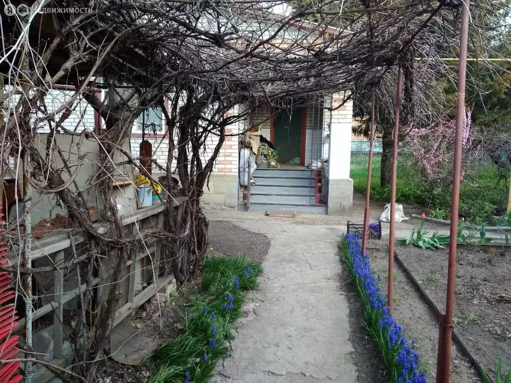 Дом в хутор Старая Станица, Красноармейская улица (80 м) - Фото 0