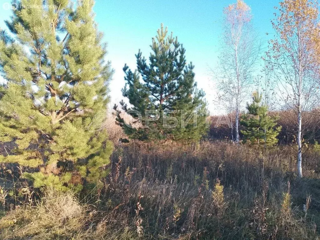 Участок в Тюменская область, Нижнетавдинский муниципальный округ, СНТ ... - Фото 2