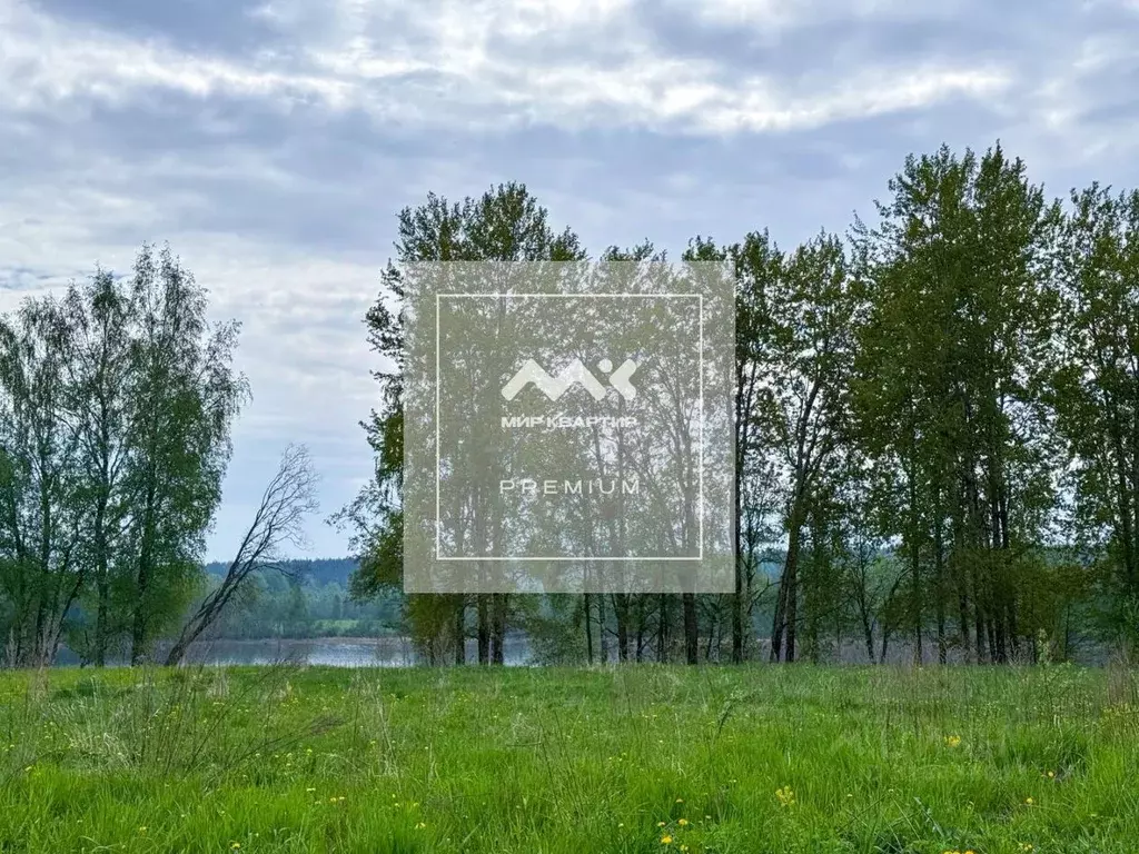 Участок в Ленинградская область, Приозерский район, Ромашкинское ... - Фото 0