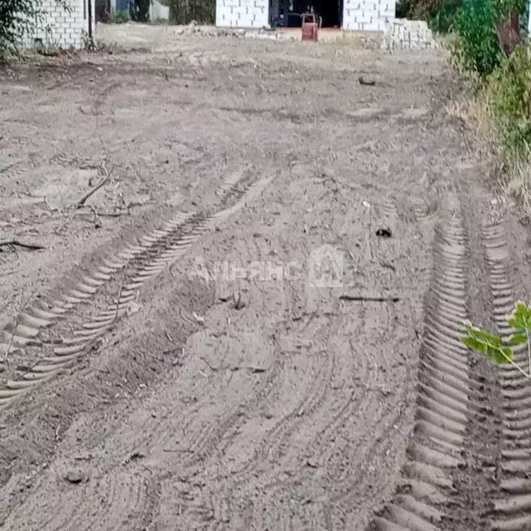 Дом в Ростовская область, Белая Калитва Дружба-1 СНТ,  (20 м) - Фото 1