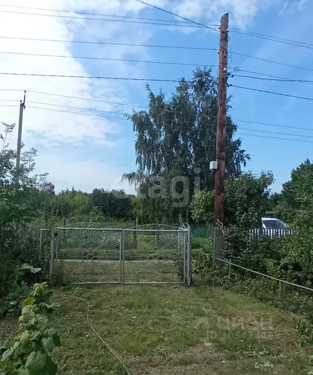 Дом в Омская область, Омский район, Дружинское с/пос, Океан СНТ  (48 ... - Фото 1