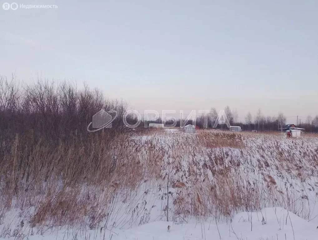 Участок в Тюмень, садовое товарищество Поле Чудес, Виноградная улица ... - Фото 0