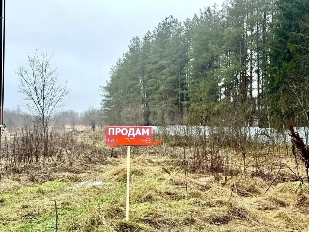 Участок в Ленинградская область, Ломоносовский район, Лопухинское ... - Фото 1