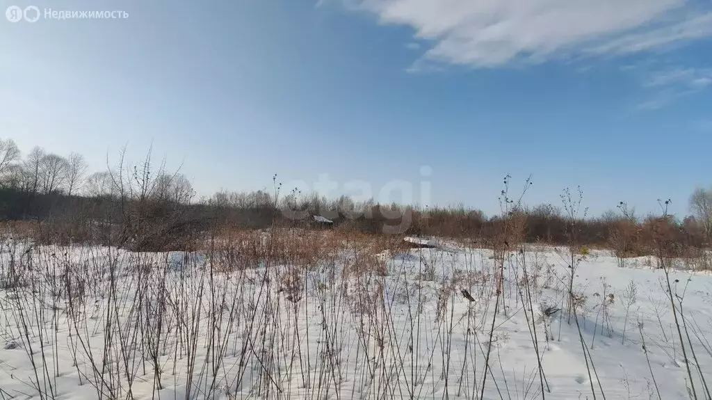 Участок в Ульяновск, СНТ Машзавода имени Володарского (4.29 м) - Фото 2