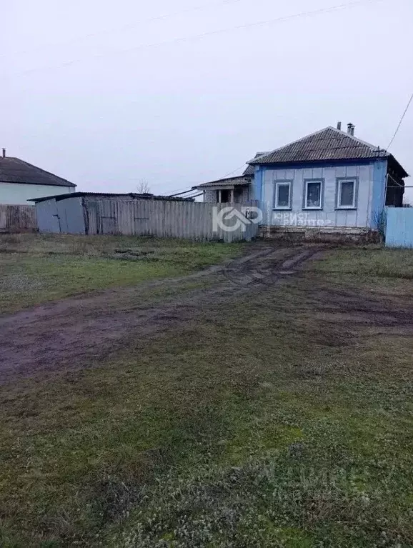 Дом в Воронежская область, Репьевское с/пос, Дракино хут. ул. ... - Фото 1