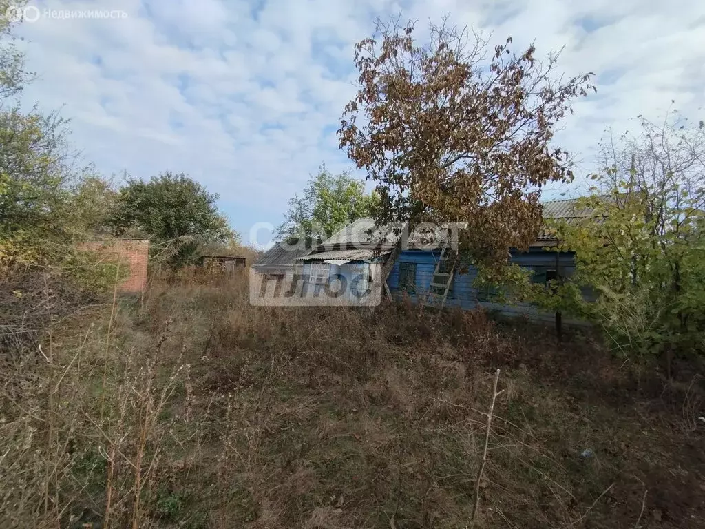 Дом в станица Новощербиновская, Ясенская улица (49.1 м) - Фото 0