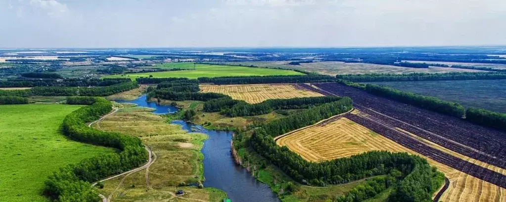 Дом в Тамбовская область, Гавриловский муниципальный округ, с. ... - Фото 1