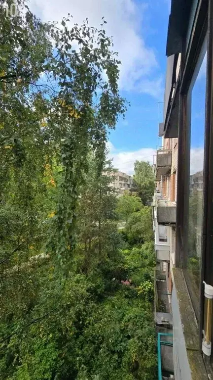 1-к кв. Санкт-Петербург, Санкт-Петербург, Пушкин Детскосельский бул., ... - Фото 2