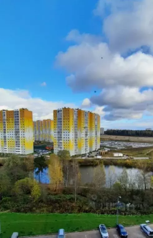 1-к кв. Московская область, Солнечногорск городской округ, Голубое пгт ... - Фото 1