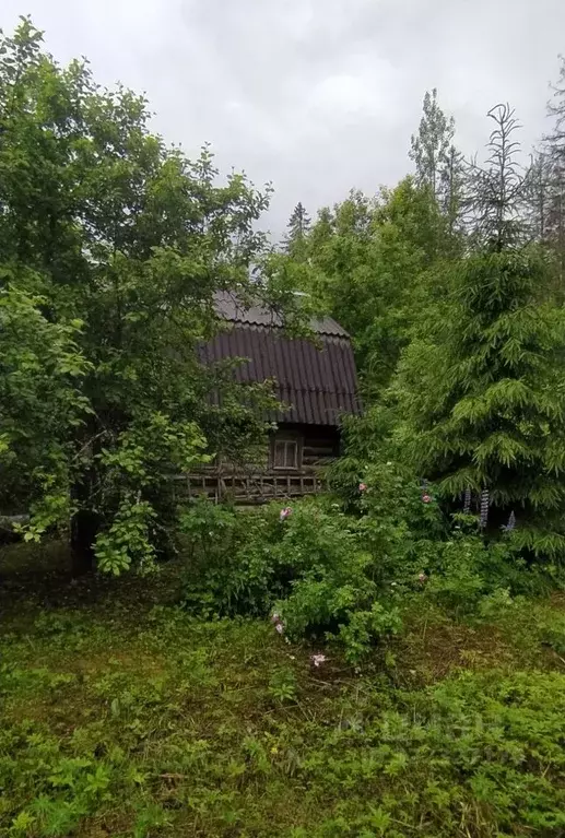 Дом в Ленинградская область, Гатчинский муниципальный округ, ... - Фото 1