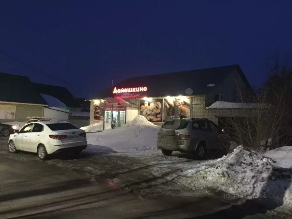 Дом в Самарская область, Кинельский район, Домашка с/пос, с. Домашка ... - Фото 1