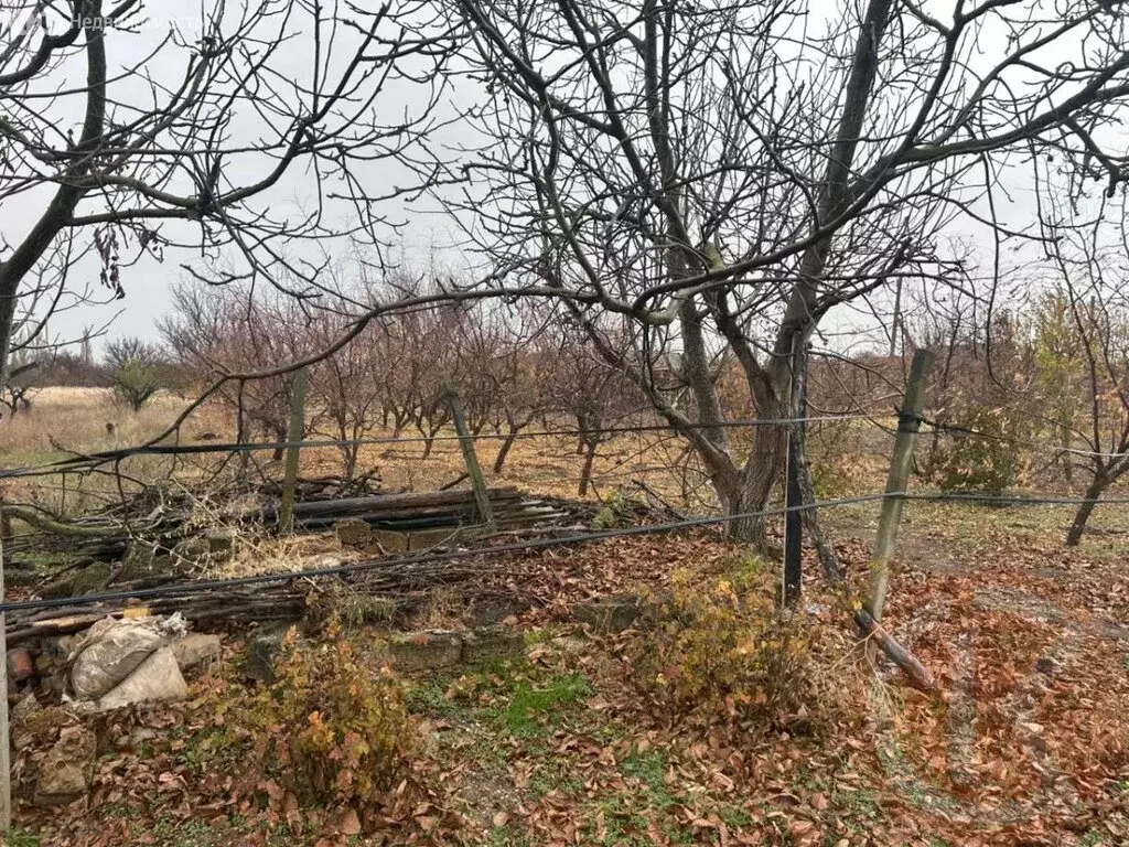 Участок в Митяево, Спортивная улица (12 м) - Фото 1