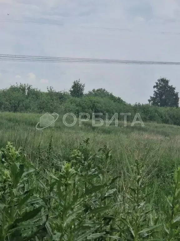 Участок в Тюменская область, Тюмень Лаванда садовое товарищество,  ... - Фото 1