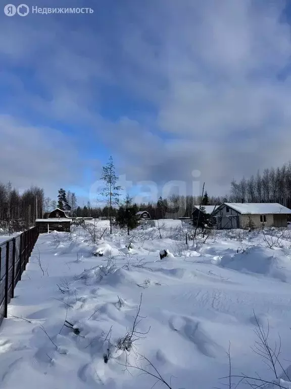 Участок в Кировский район, Синявинское городское поселение, ... - Фото 1