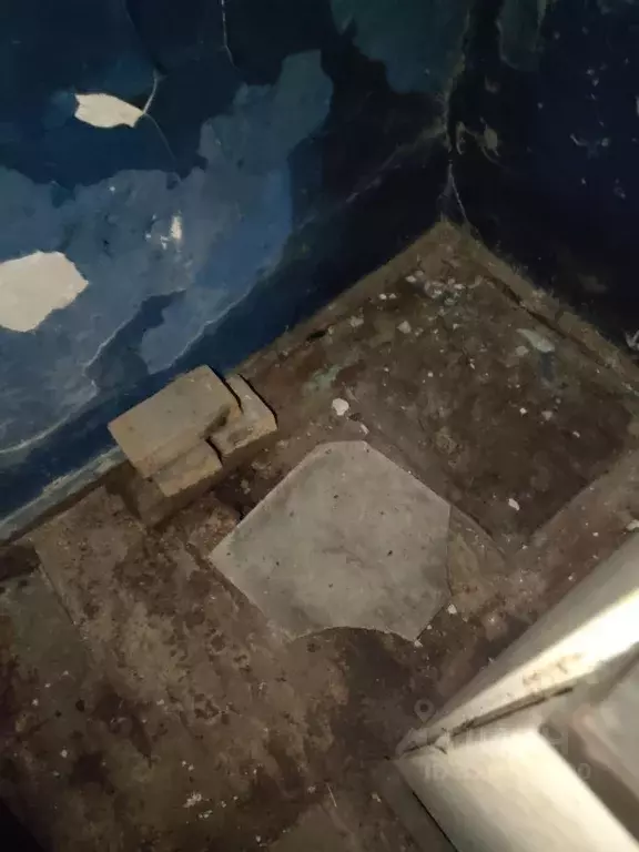 Помещение свободного назначения в Калининградская область, Неманский ... - Фото 2