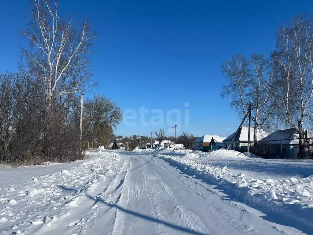 Участок в Белгородская область, Прохоровский район, с. Коломыцево  ... - Фото 1