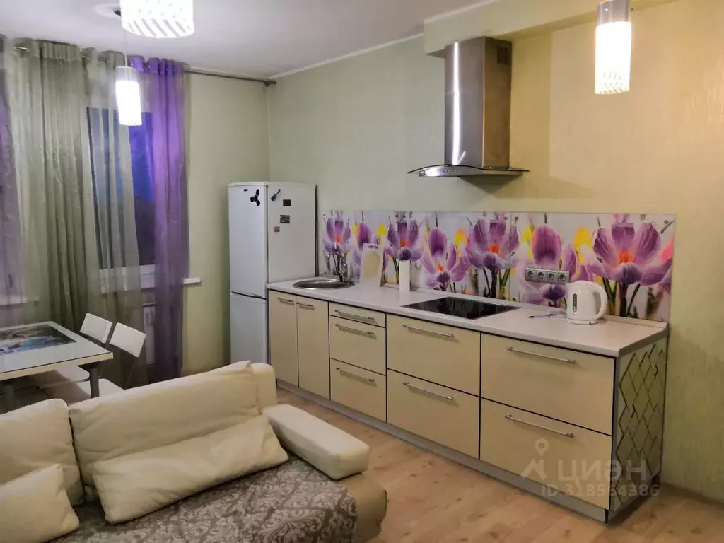 1-к кв. Нижегородская область, Нижний Новгород ул. Белинского, 64 ... - Фото 1