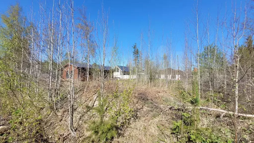 Участок 10 сот. (СНТ, ДНП) - Фото 0