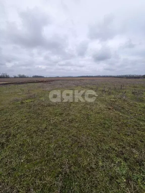 Участок в Краснодарский край, Кореновский район, Платнировское с/пос, ... - Фото 1