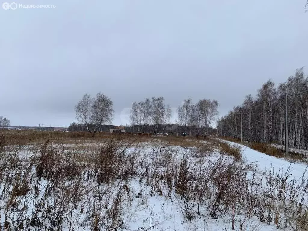 Участок в Новосибирский район, Морской сельсовет, территория ТСН ... - Фото 1