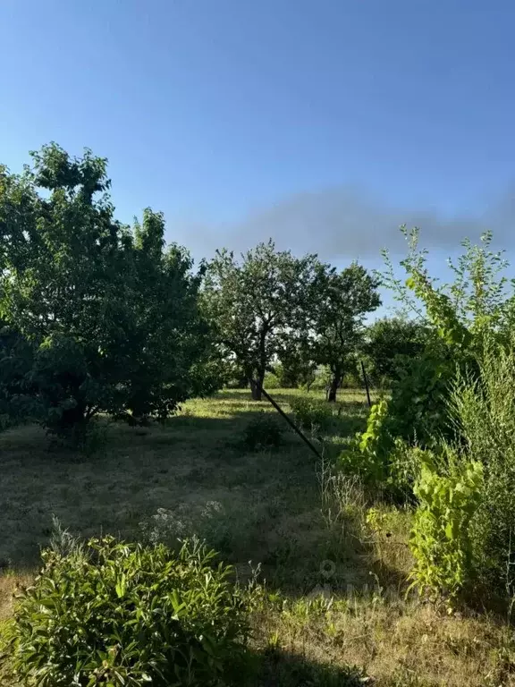 Участок в Ростовская область, Азовский район, с. Кулешовка ул. ... - Фото 1