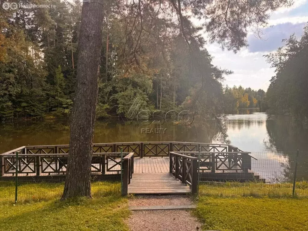 Участок в деревня Бородки, КП Грибово (28.6 м) - Фото 1