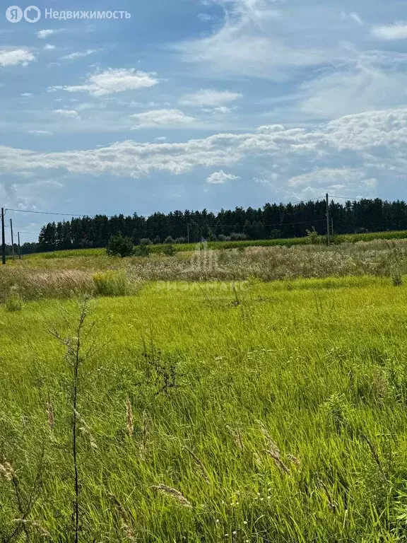 Участок в село Октябрьское, Нагорная улица, 106 (1.04 м) - Фото 2