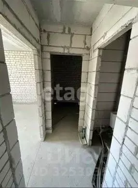 1-к кв. Калужская область, Калуга ул. Белинского, 13 (42.78 м) - Фото 2