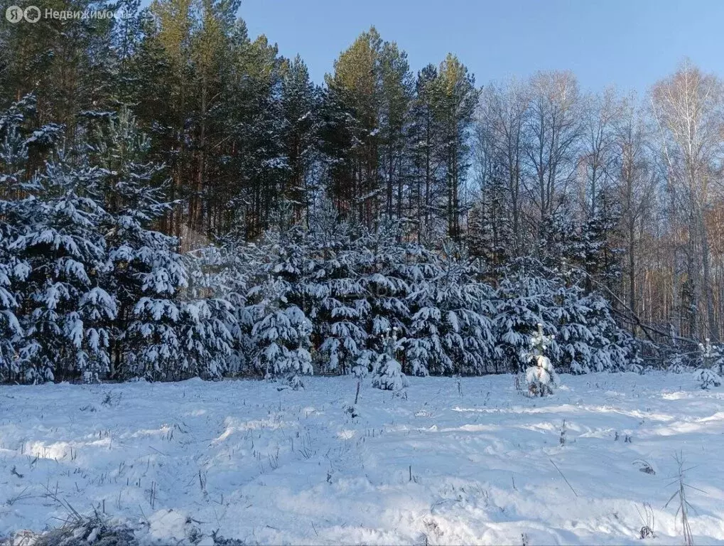 Участок в Тюменский район, деревня Якуши (13.81 м) - Фото 0