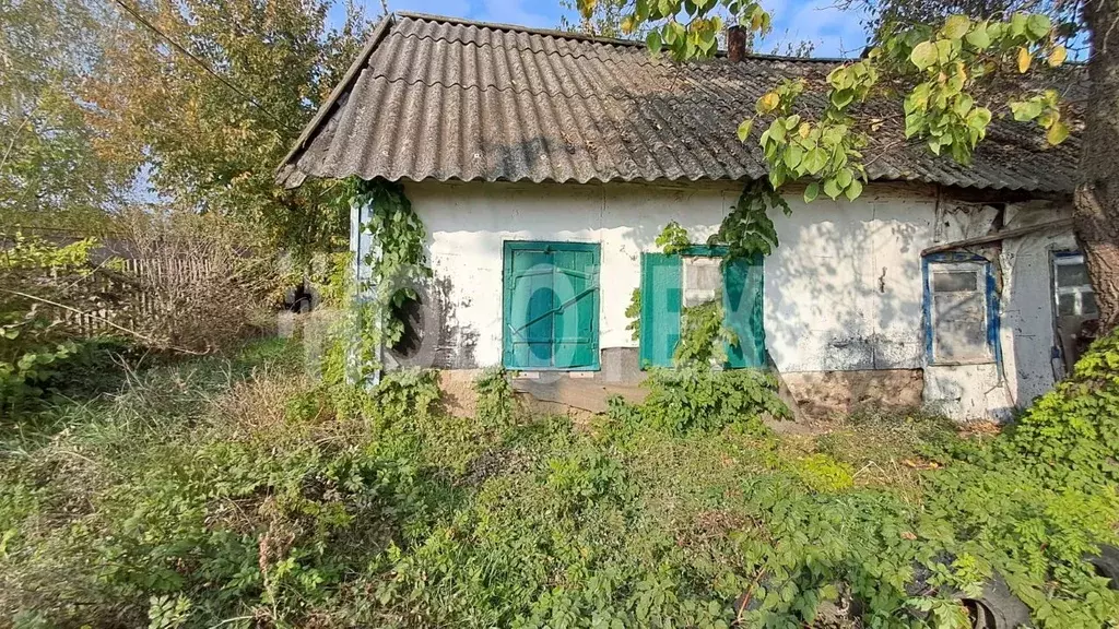 Дом в Краснодарский край, Каневской район, Стародеревянковское с/пос, ... - Фото 1