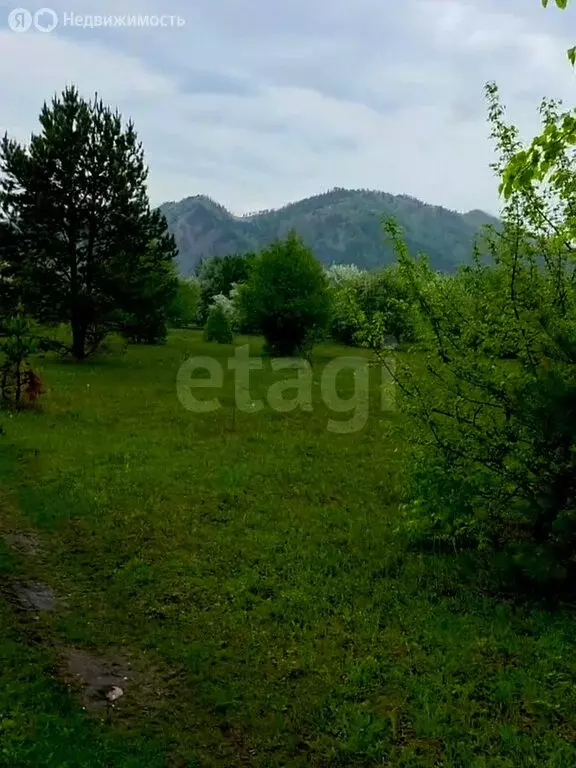 Участок в Чемальский район, Ветряная улица (14 м) - Фото 0