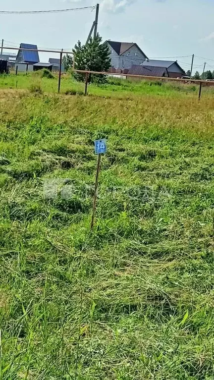 Участок в Новосибирская область, Новосибирский район, Криводановский ... - Фото 2