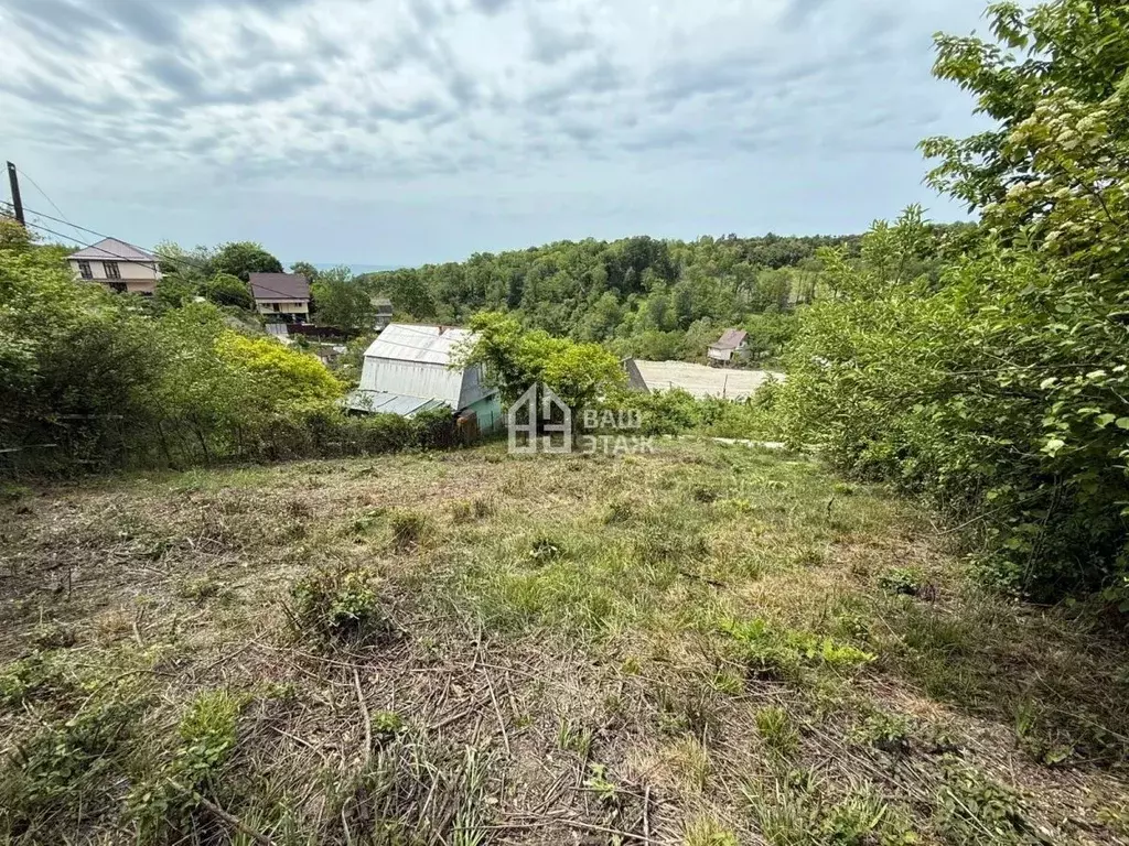 Участок в Краснодарский край, Сочи Черноморец садовое товарищество, 38 ... - Фото 1